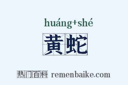 黄蛇是什么意思的图片